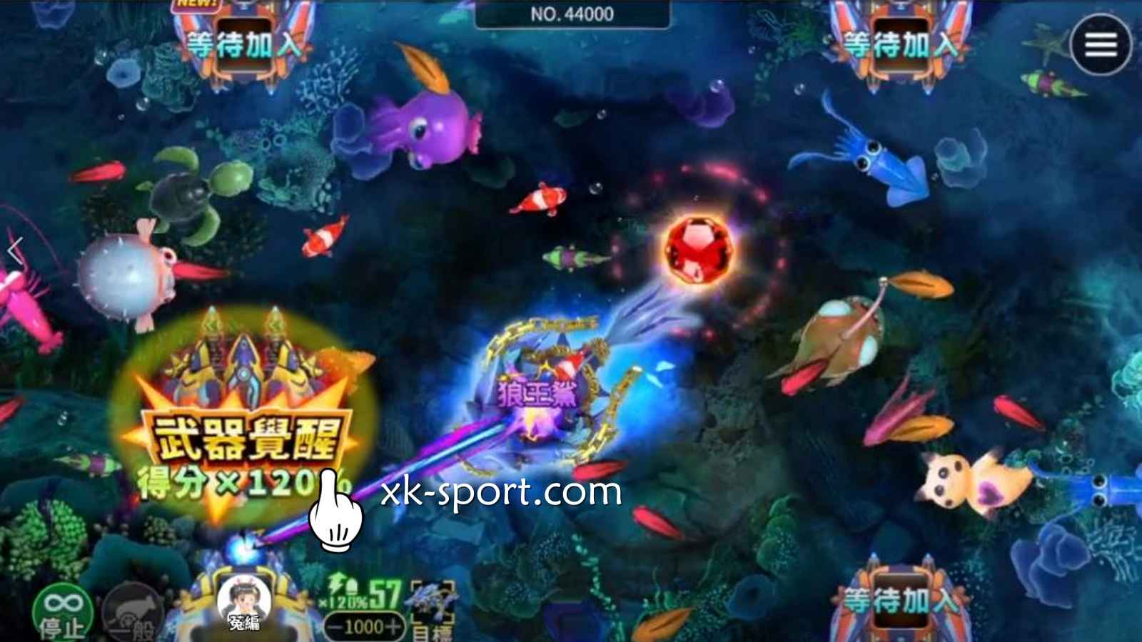 捕鱼机玩法节奏深入了解，进入星空体育快速掌握赚钱技巧